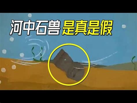 河中石獸工作紙答案|《河中石獸》閱讀練習帶答案